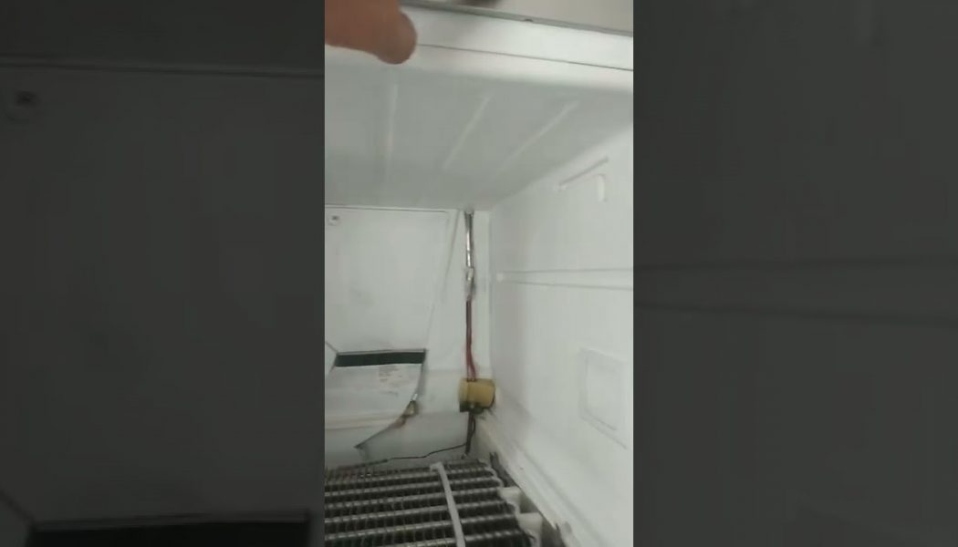 profilo Buzdolabı soğutmuyor! Buzdolabı çalışmıyor